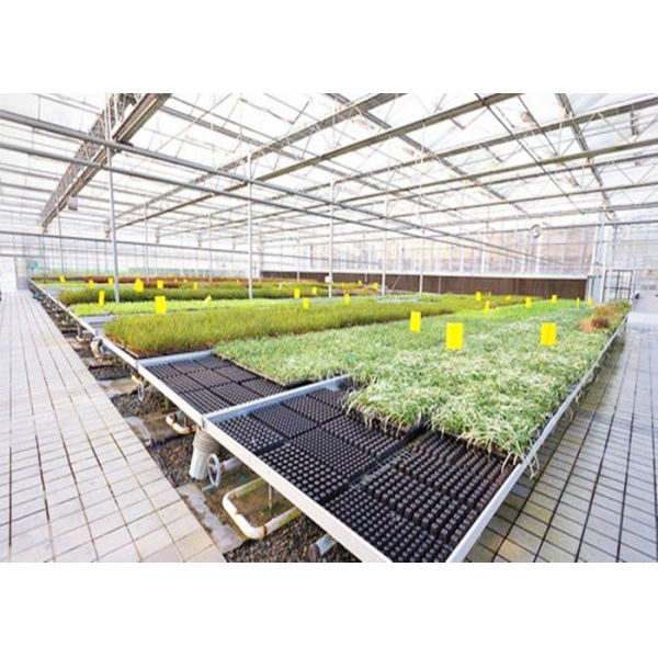 Масло безопасности прочное - увольнянная деятельность генератора пара автоматическая для парника