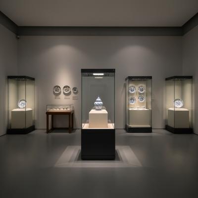 Custom Museum Exhibit Cases 90° Side Opening Glass Full View Freestanding LED Light Showcases