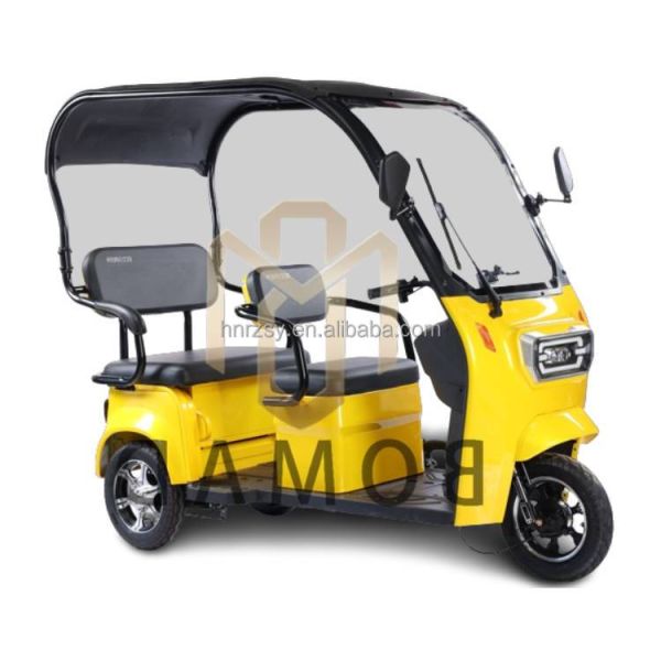 2024 Adult Cargo Electric Tricycle Motorcycle Bike Three Wheel Electric Tricycle 3 Wheel Single Gross Weight 75.000 kg