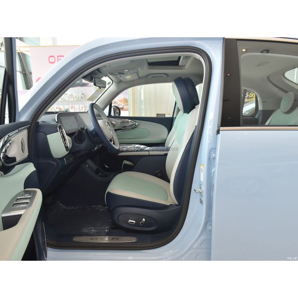 Experience the Future of Driving Ballet Cat Mini EV 5-door 5-seat Hatchback for Women