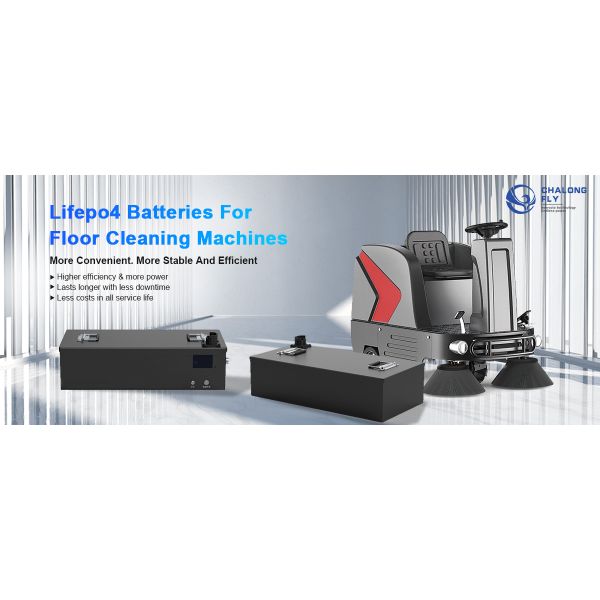 CLF OEM ODM 24V 36V 48V LiFePO4 Литий железный аккумуляторные пакеты Машины для уборки пола Автомобили для гольфа с зарядным устройством BMS