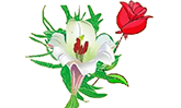Shaanxi Xinyan Yongzhen Industrial Co., Ltd.