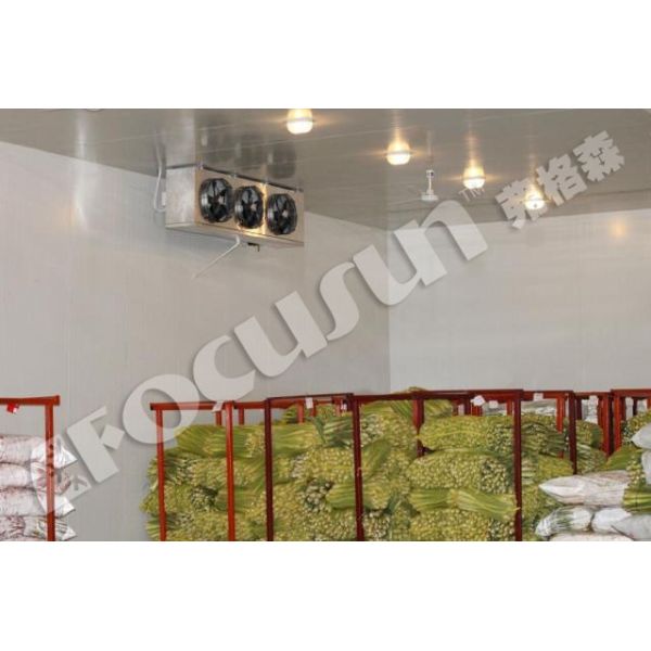 Холодная комната из окрашенной стали для овощного/ледового/рыбного/мясного оборудования