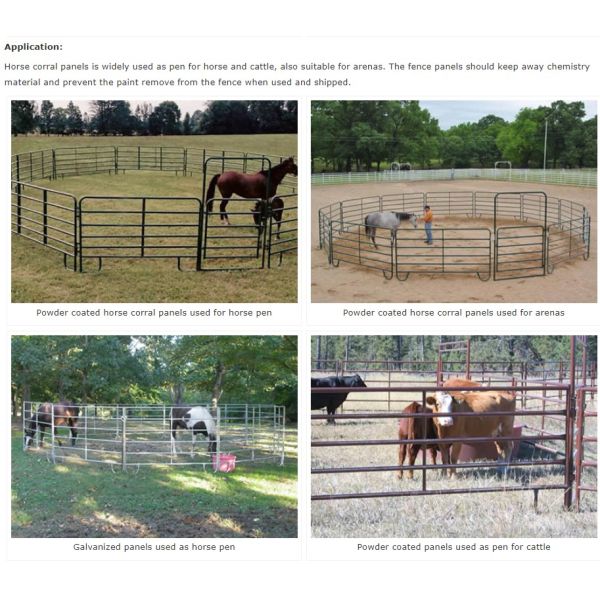 Поголовье обшивает панелями 6 скотин ограждать провода борова овальной Адвокатуры низких гальванизировало панели загородки поголовья