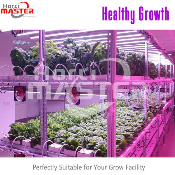 18 Watt LED Bar Grow Lights 60Hz IP65 AC 305V PPFD Vegetative Blooming