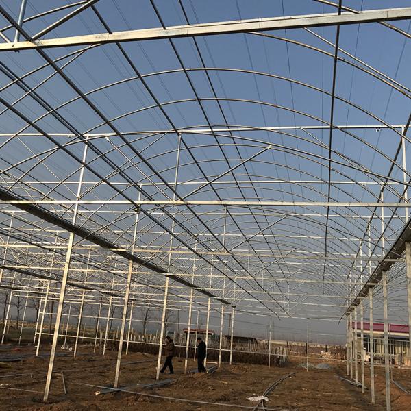 Estufas LiTai Filtro multiespan Agricultura Estufas com estrutura de aço