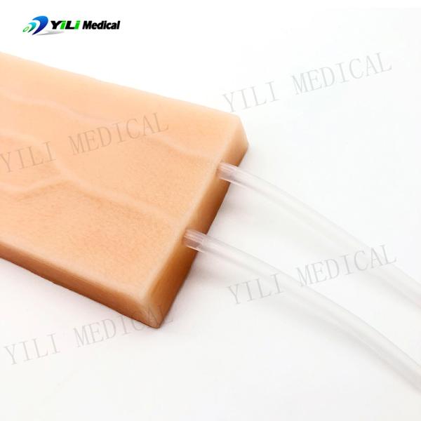 Recolha de sangue IV Pad prática Estudantes de medicina / enfermeiros Material de silicone de qualidade alimentar