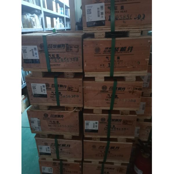 Weichai WD615 Diesel Engine Crankshaft 61560020029 for HOWO STEYR Shaan Auto Parts