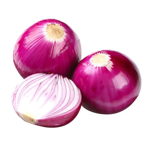 Wholesale Organic 5-8 cm Fresh Red Onion High Demand Agricultural Product with Best Price