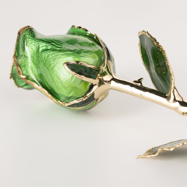 Gold Plated Rose  Wholesale Green Fresh Rose with Stem Present  Rose Gift Valentine Mother Day