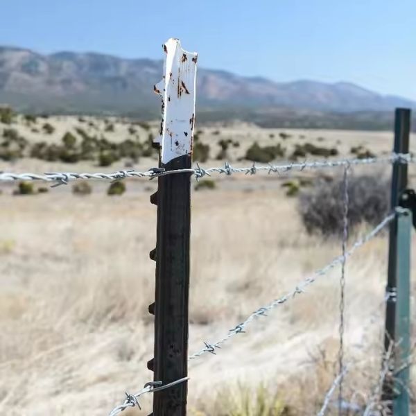 6 Ft 6.5 Ft 8 Ft Metal T Post For Fence Canada 10 Ft Studded T Post