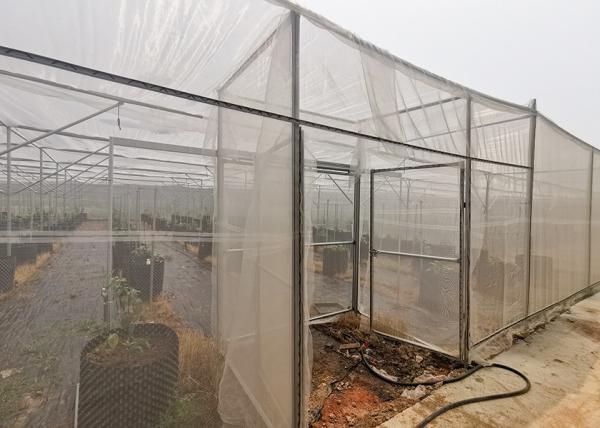 Wind Resistant Insect Net House No Welding For Fruit Planting