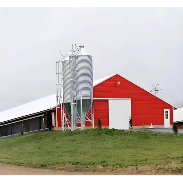 Q235B Q355B 炭素鋼 鶏屋 プリファブリック鋼構造