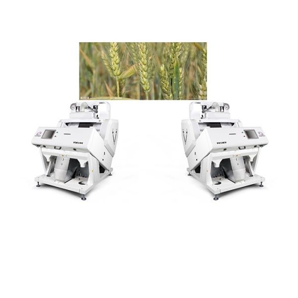 Trieuse de couleur de blé de soja du spectre ISO9001 pour la séparation