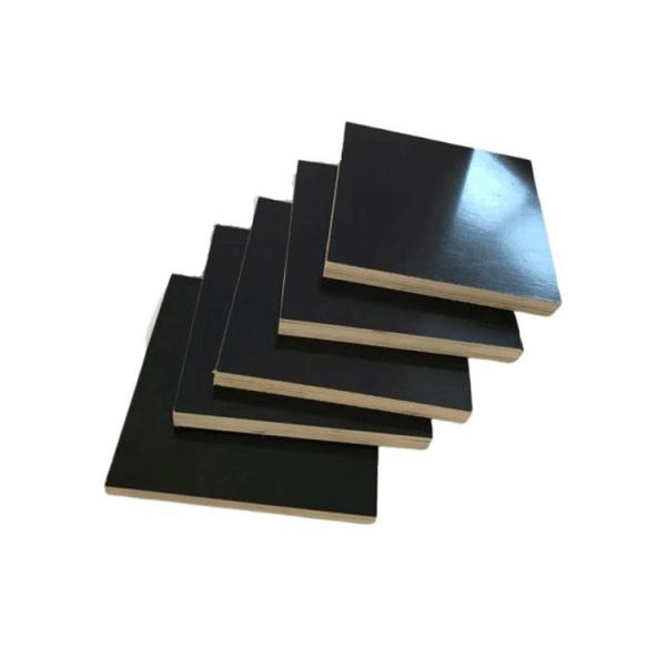 Customized Thickness Black Film Faced Plywood For Building No Odor Easy To Clean