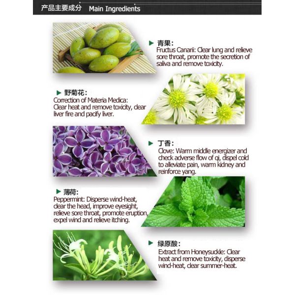 Mint Oral Care Spray Oral Hygiene Teeth Gums Care Anti Bacteria 20ml