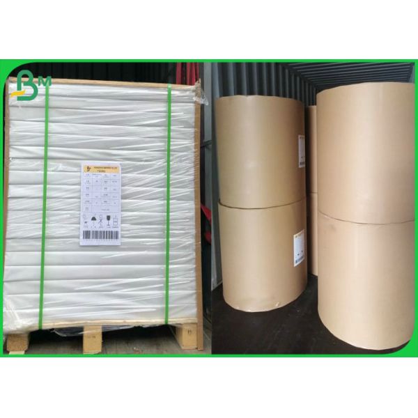 20 LB FSC Certified Long Grain Wood Free Uncoated Offset Paper In Reels