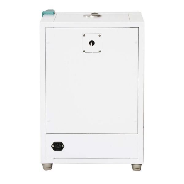 Light Natural Convection Laboratory Desktop Constant-Temperature Small Lab Incubator 180W