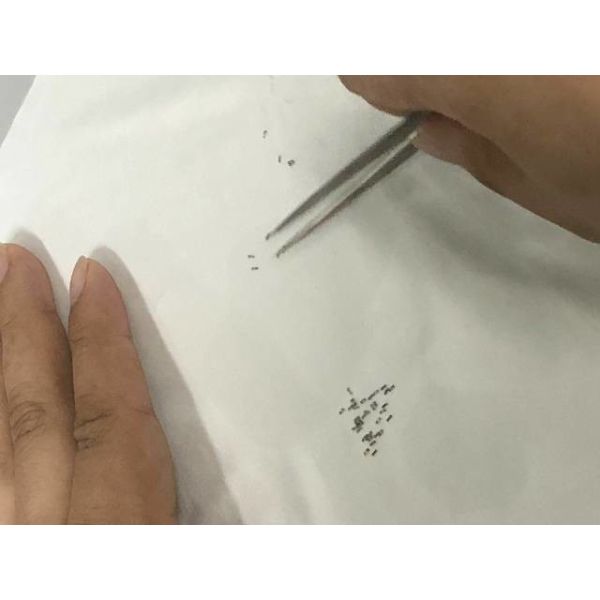 High Accuracy Micro Precision CNC Machining , Medical Micro Precision Parts