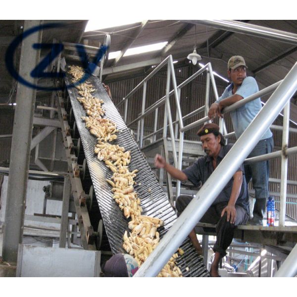 Стирка машины/барабанчика обработки кассавы мотора Seimens роторная слезая