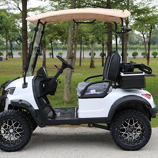 FHA2-1 Premium Stylish Resort Electric Golf Cart