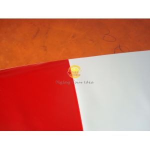 Guangzhou Troy Balloon Co., Ltd