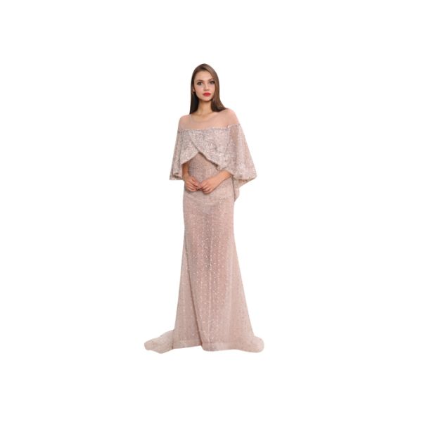 Fashion Sexy Ladies Champagne Middle Eastern Evening Dresses For Slim Girls And Woman