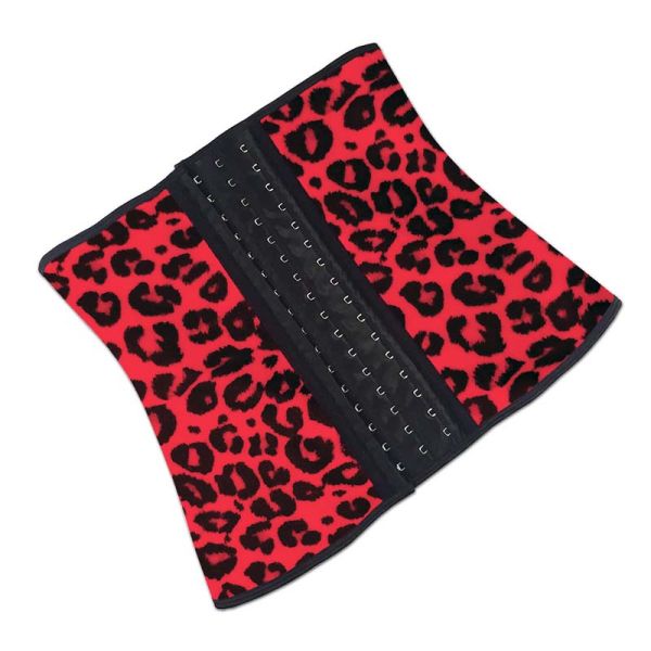 Красная талия Cincher 6XL леопарда плюс управление Tummy Shapewear талии размера
