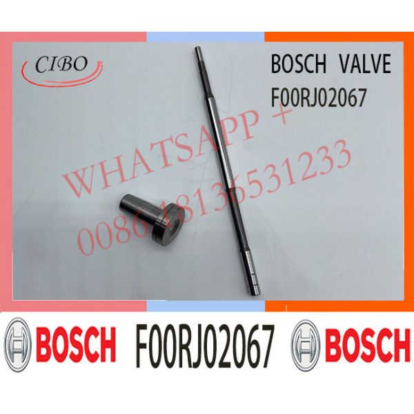 F00RJ02067 Diesel Control Valve for Bosh Common Rail Injector 0445120013