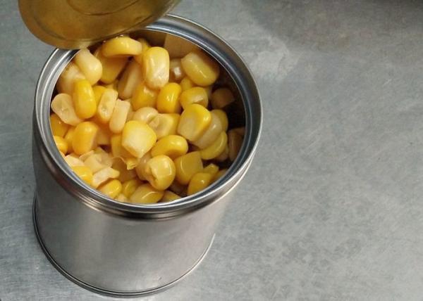 Gosto da estação nova de HACCP 800G bom que enlata o milho fresco