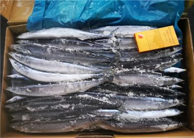 Peixes congelados 90g frescos saudáveis do sauro #2 para o churrasco