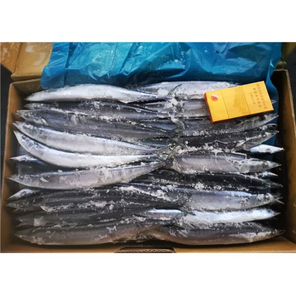 Healthy Fresh #2 90g Frozen Saury Fish For Grilling