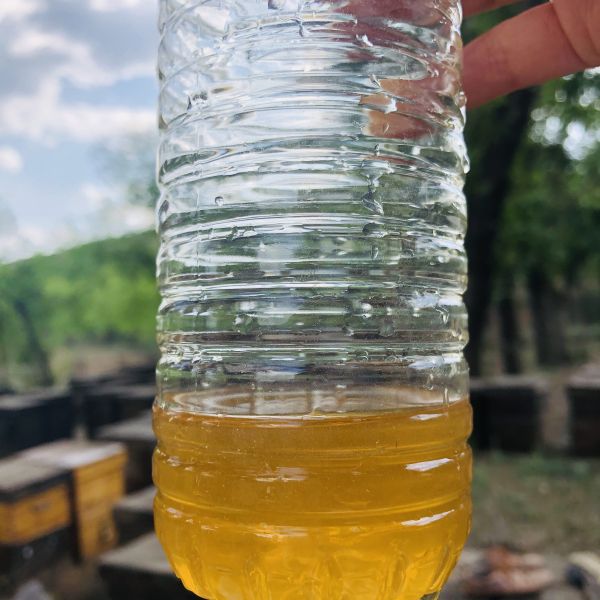 Venda a retalho Alta Qualidade 100% Natural Mel de floresta de arbustos puro Sem aditivos Mel de abelha natural