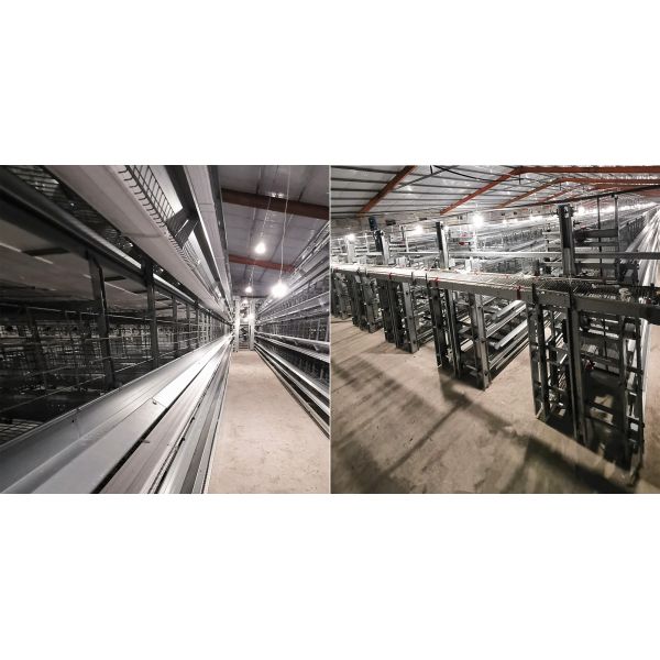 Механический гальванизировать производственного оборудования Q235 яйца птицы низкоуглеродистый горячий