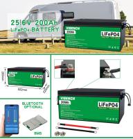 Visench fábrica direta Lítio 12V 24V 100Ah 120Ah 200Ah Profundo 6000 Ciclos com BMS para bateria solar lifepo4