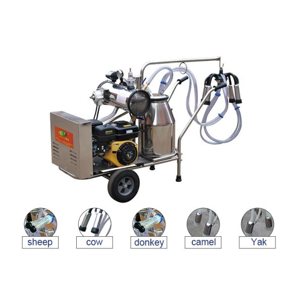 Unidad de ordeño móvil eléctrica manual con Vane Vacuum Pump rotatoria