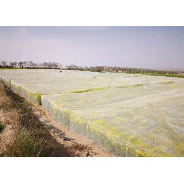 Agricultural Garden Crops Insect Mesh Netting Vegetables Flowers Fruits Cover Insect Proof