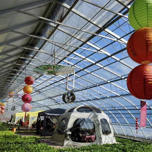 Estufas com telhado arqueado para a luz solar Aquicultura Plantação de flores Produção de vegetais