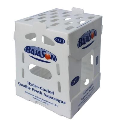 caixas plásticas de 5mm 6mm Correx PP para frutas e legumes