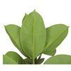 80cm Nearly Natural Looking Oak Tree Faux Plants Ornamental Indoor Tree Fashional Faux Oak Tree Plants Real Touch