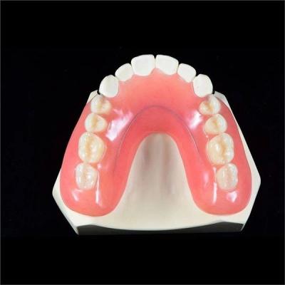 Removable Lower Upper Partial Acrylic Denture For Missing Teeth