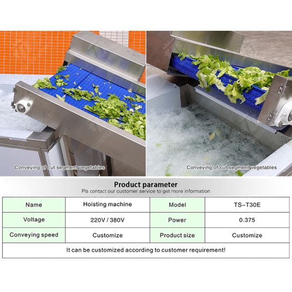 Fruit Orange Vegetable Onions horseshoe Ginger Potato Carrot radish Lettuce Baby Cabbage Chinese Cabbage Cabbage Hoisting machine Washing Dryer processing production line