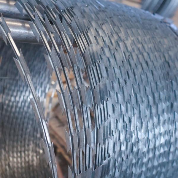Galvanized 550mm 600mm Flat Security Fencing Razor Wire Concertina Barbed Wire Fencing