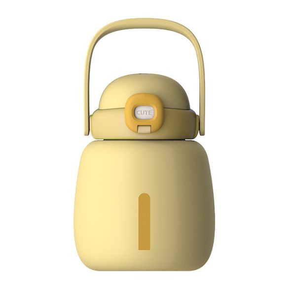 Insulated Water Bottle for School Kids BPA Free Custom Design Vacuum Flasks Thermoses