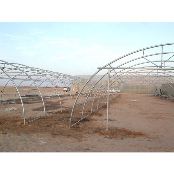 150-микронная металлическая плёнка для теплицы для пустынной розы