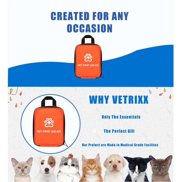 Essential First Aid Supplies for Small Pets for Golden Shaded Toy Poodle Canine Companion's Care