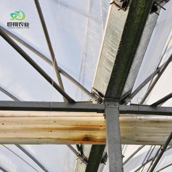 Aquecedor de plástico com telhado com arco, hidroponia com várias faixas, estufa agrícola para exploração agrícola