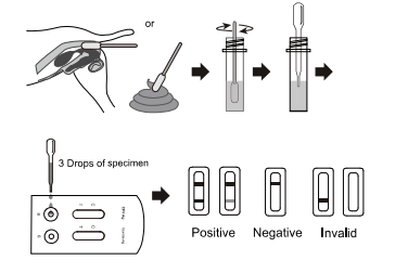 ΜL rápido combinado dos jogos 120 do teste do cão da gaveta do teste do antígeno de CPV+Giardia Lamblia