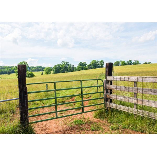 Galvanized 1.2mm Driveway Farm Gate Metal Agricultural With Hingle