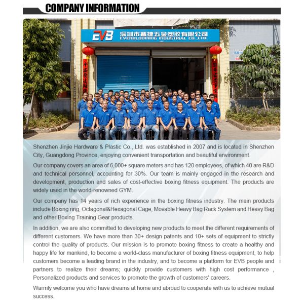 Customized Logo Vintage Boxing Gloves 8 To 16 Ounce Professional Boxing Gloves